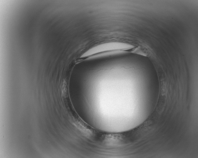 X0000080150077200612222000