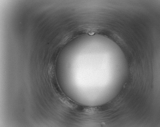 X0000080150079200612222000