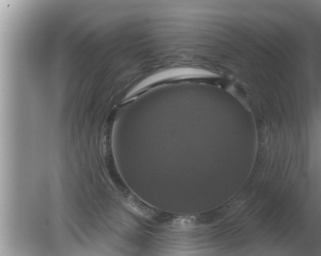 X0000080150080200612222000