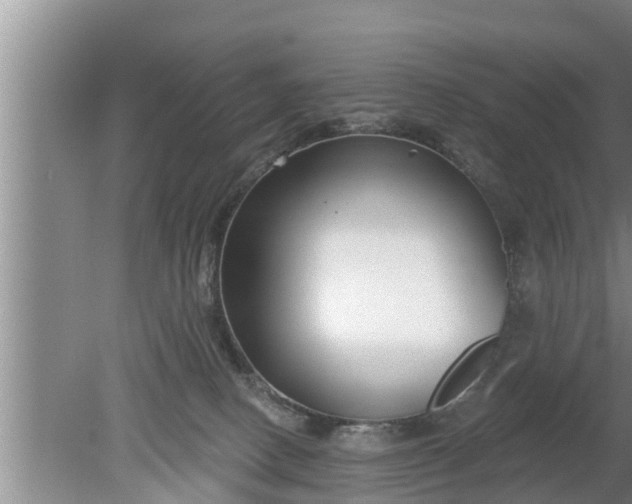 X0000080150082200612222000