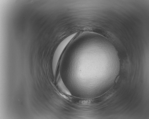 X0000080150084200612222000