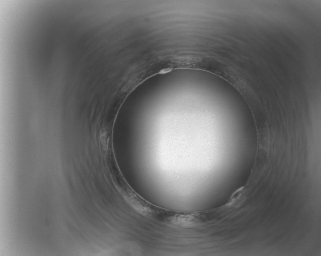 X0000080150086200612222000