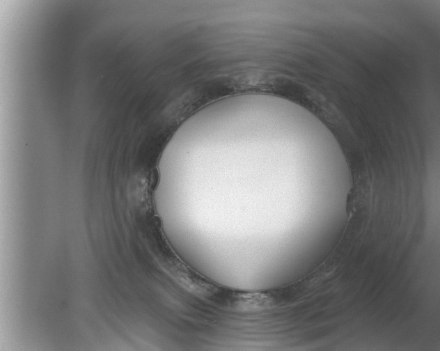 X0000080150087200612222000