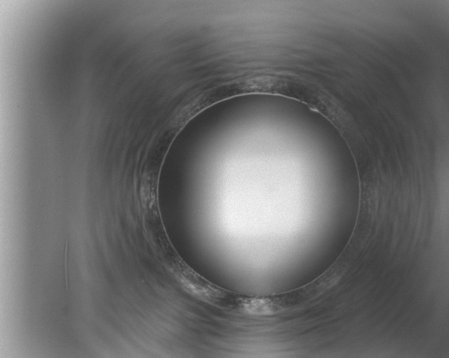 X0000080150091200612222000