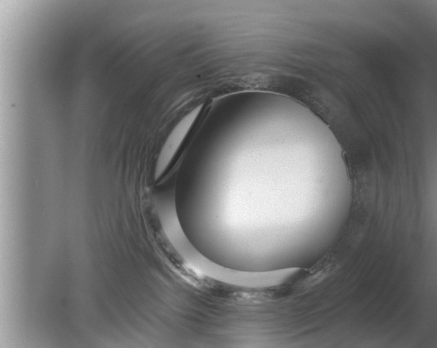 X0000080150092200612222000