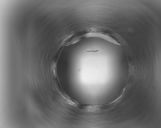 X0000080150094200612222000