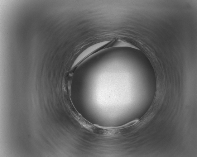 X0000080150096200612222000