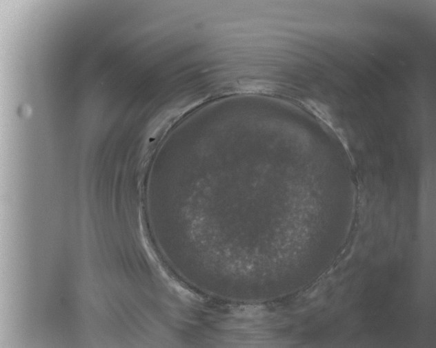 X0000080150097200612221959