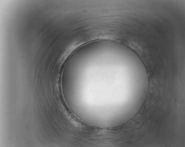 X0000080150098200612221959