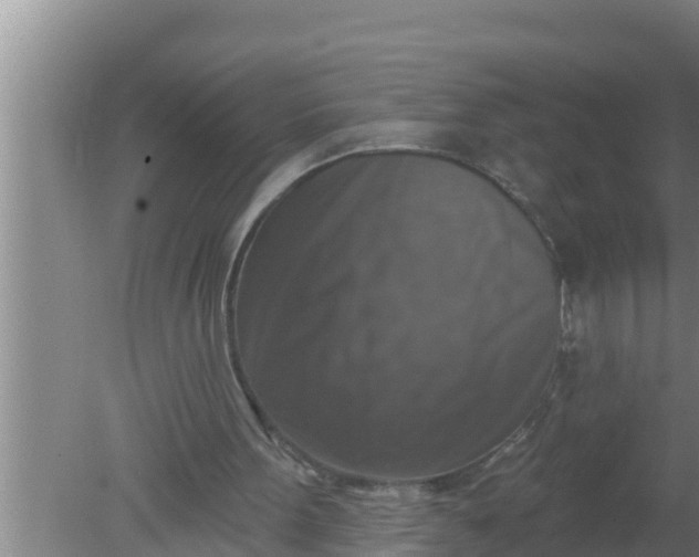 X0000080150099200612221959