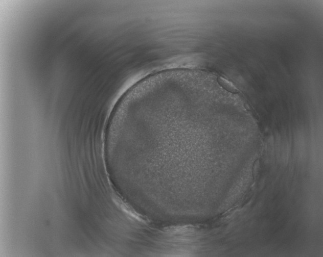 X0000080150100200612221959