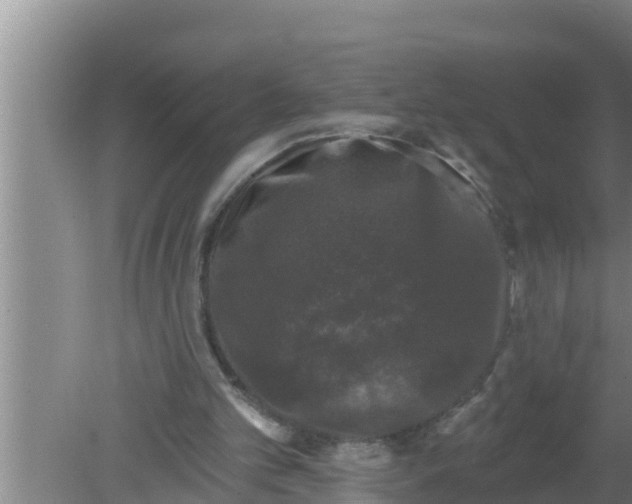 X0000080150101200612221959