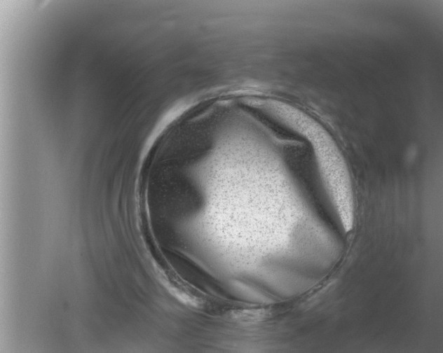 X0000080150102200612221959