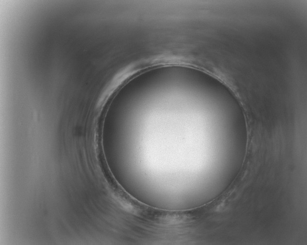 X0000080150103200612221959