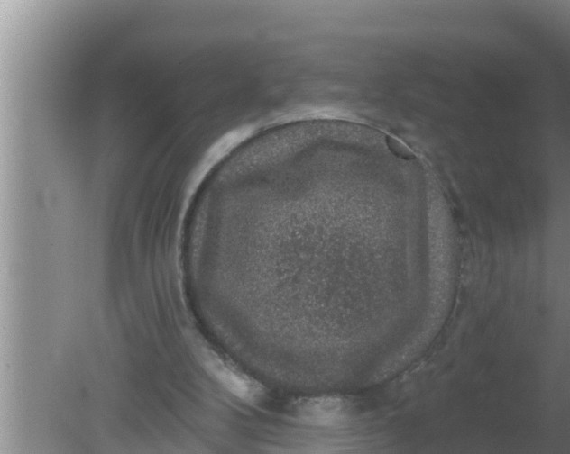 X0000080150104200612221959