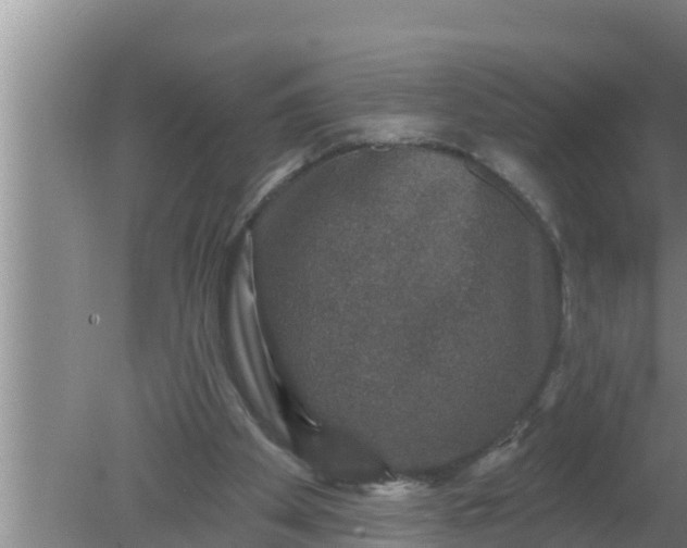 X0000080150105200612221959