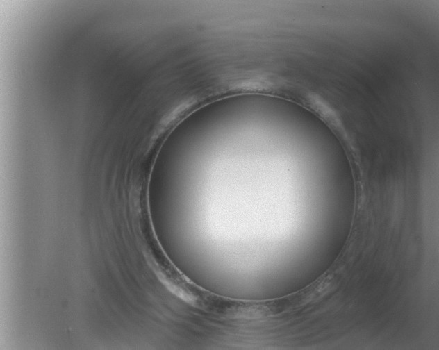 X0000080150106200612221959