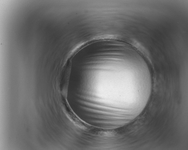 X0000080150107200612221959