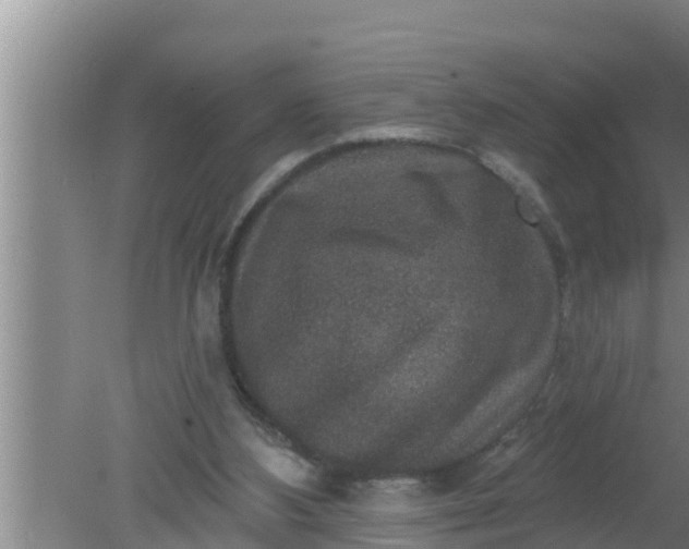 X0000080150108200612221959