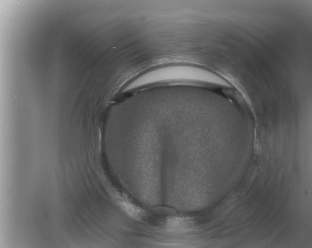 X0000080150109200612221959