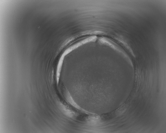 X0000080150110200612221959