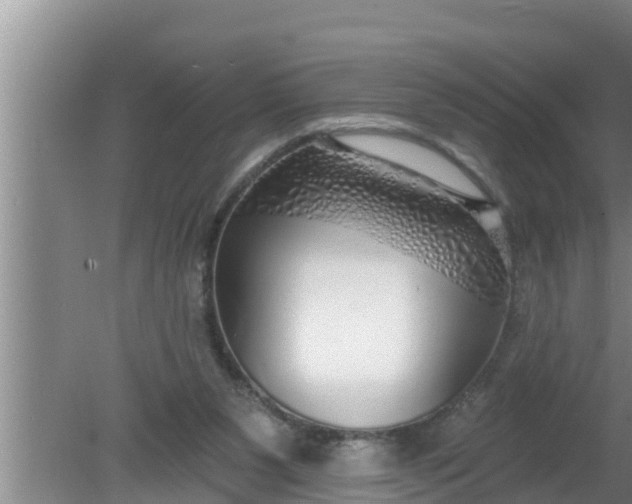 X0000080150111200612221959