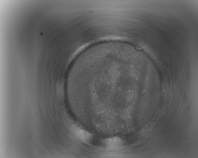 X0000080150112200612221959