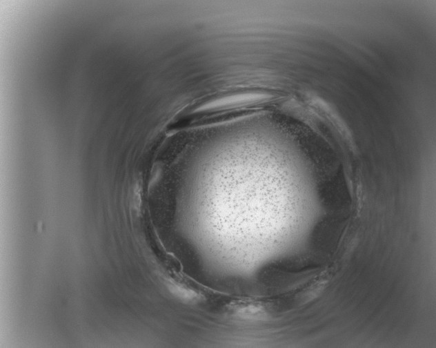 X0000080150113200612221959