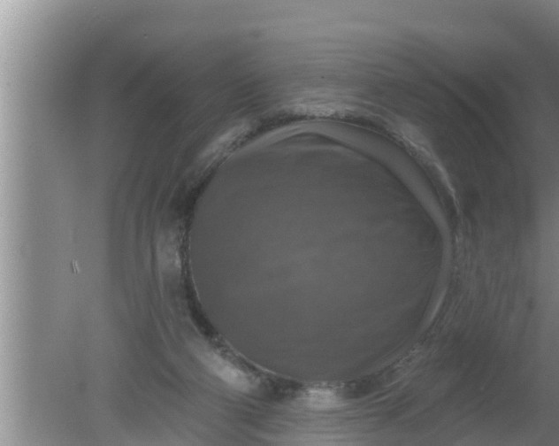 X0000080150114200612221959