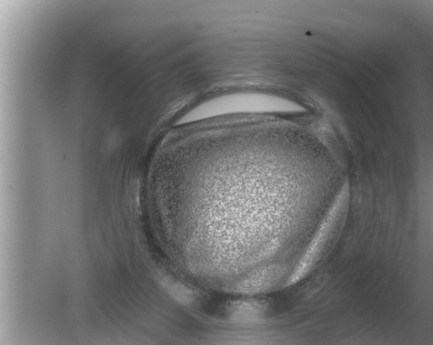 X0000080150115200612221959