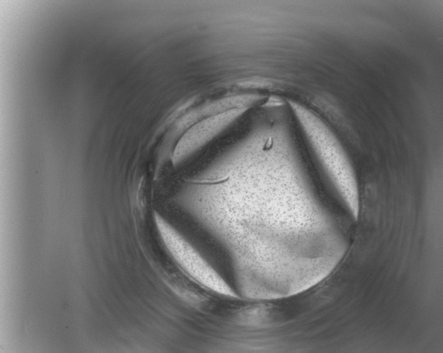 X0000080150116200612221959