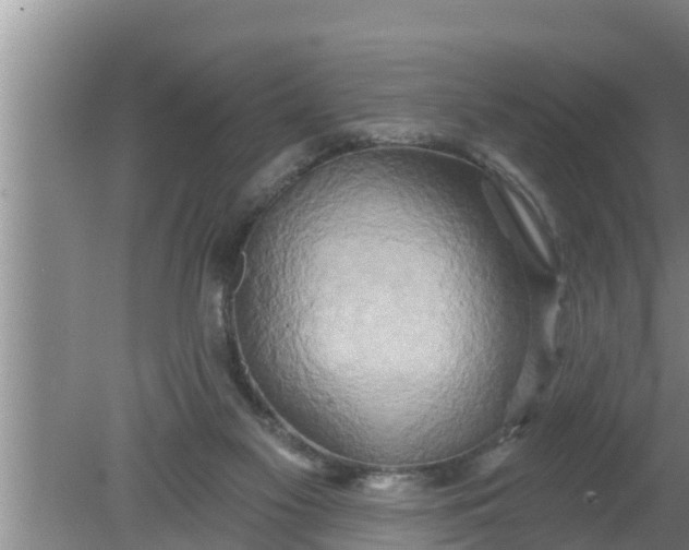 X0000080150117200612221959