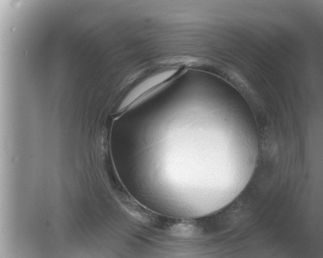 X0000080150119200612221959