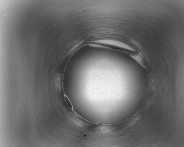 X0000080150121200612221959