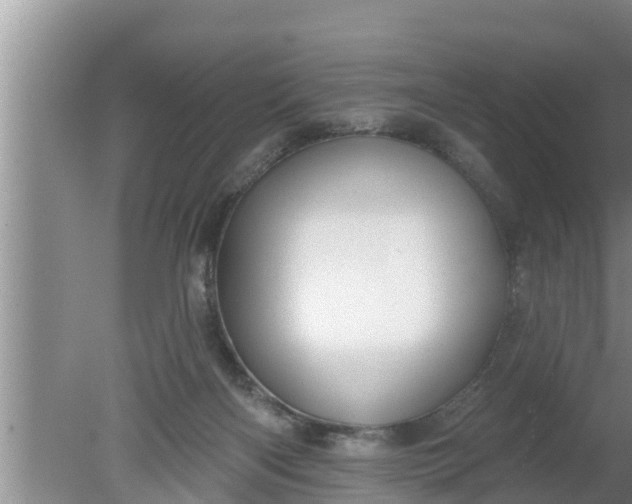 X0000080150122200612221959