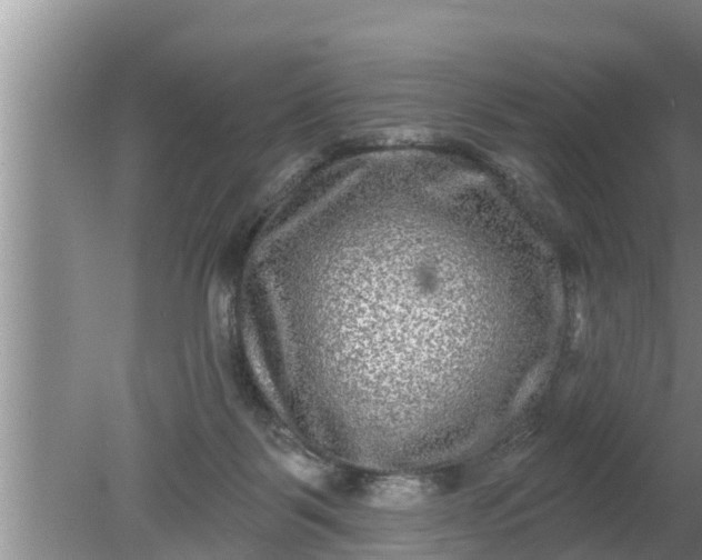 X0000080150123200612221959