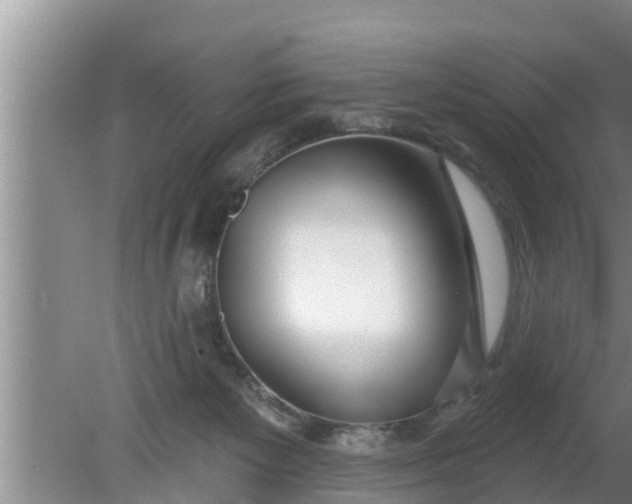 X0000080150125200612221959