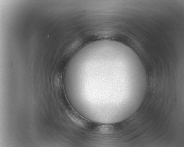 X0000080150126200612221959