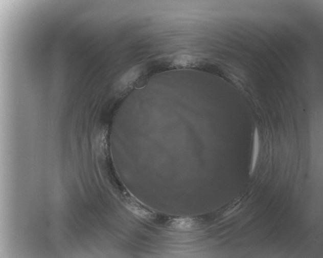 X0000080150127200612221959