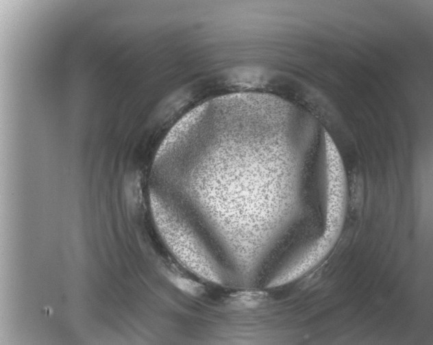 X0000080150128200612221959