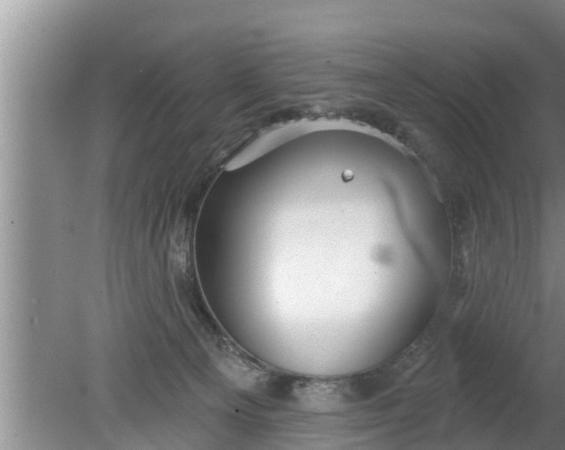 X0000080150129200612221959