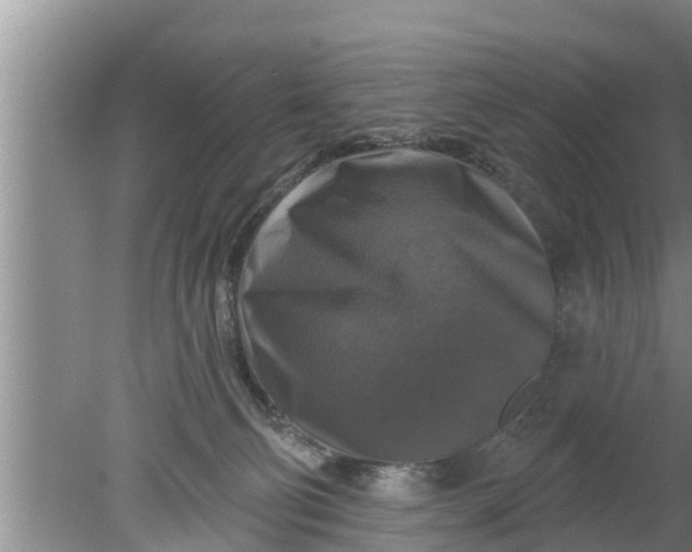 X0000080150130200612221959