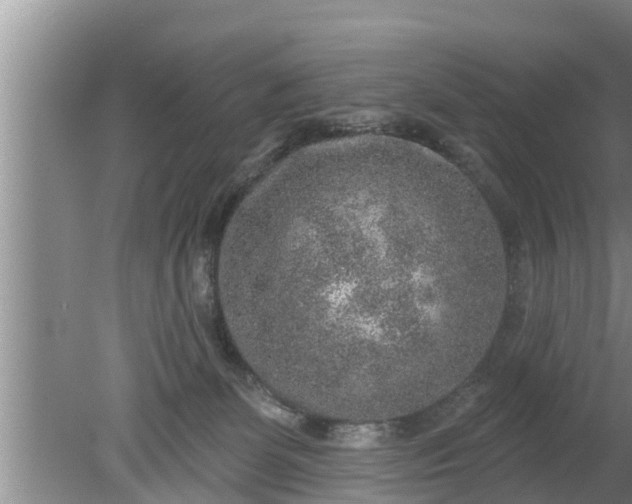 X0000080150131200612221959