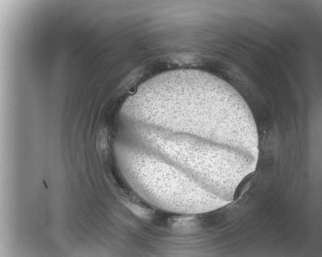 X0000080150132200612221959