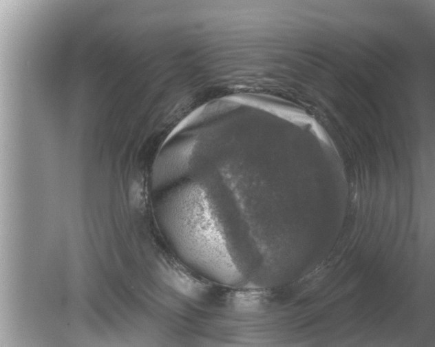 X0000080150134200612221959