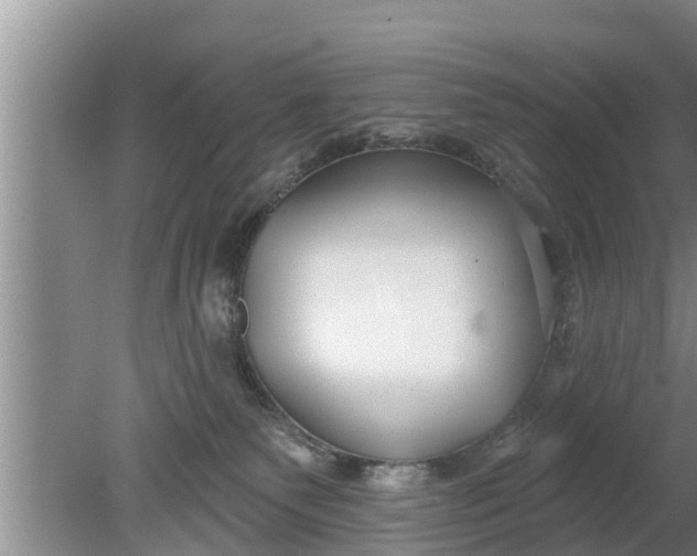 X0000080150135200612221959