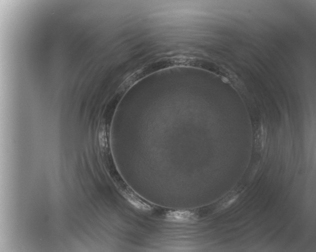 X0000080150137200612221959