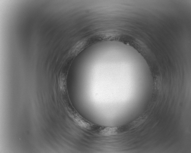 X0000080150138200612221959