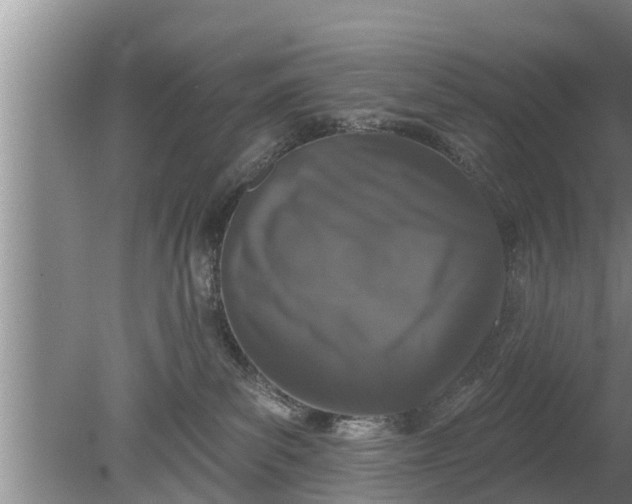 X0000080150139200612221959