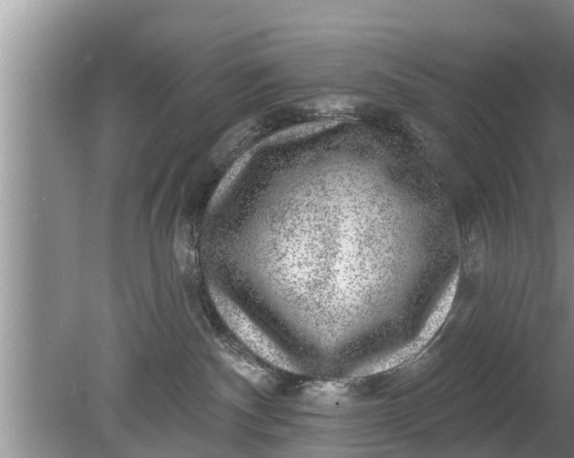 X0000080150140200612221959